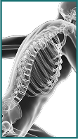 Back & Spine