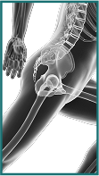 Hip